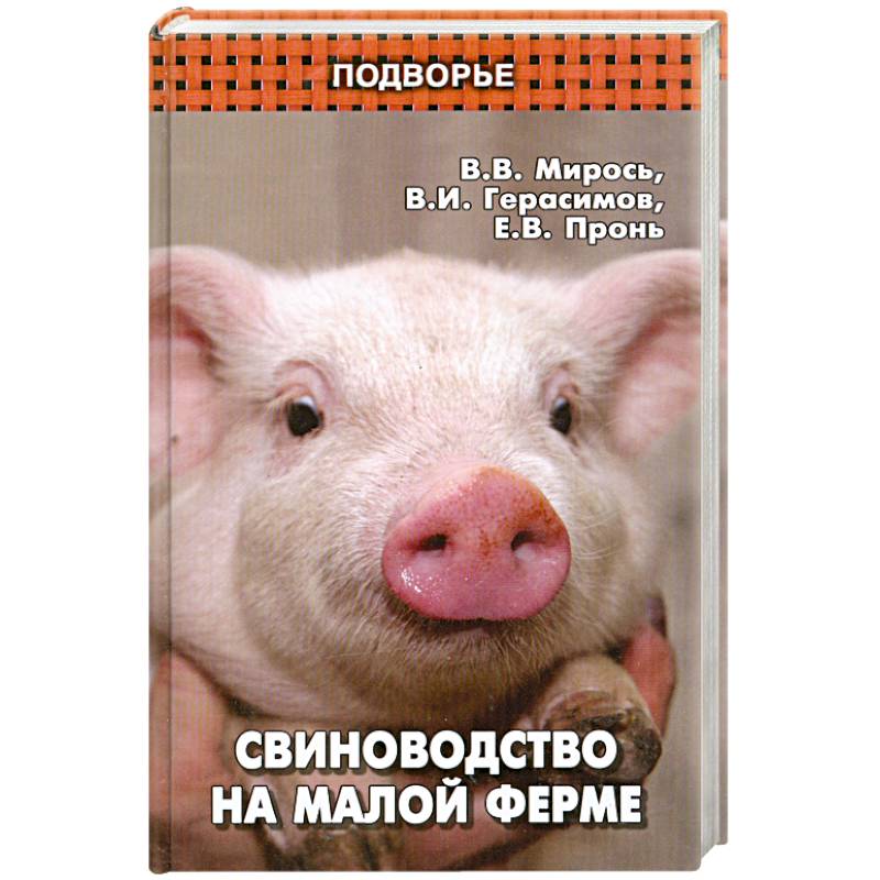 Свиноводство на малой ферме