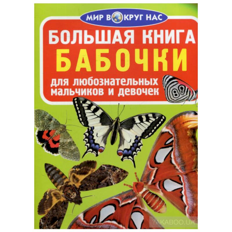 Большая книга. Бабочки. Для любознательных мальчиков и девочек