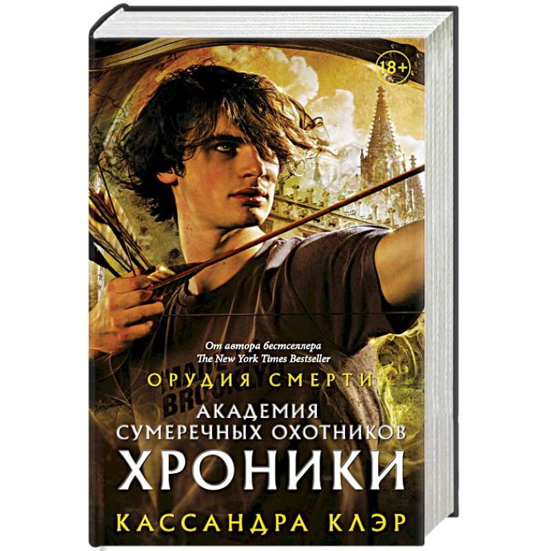 Академия Сумеречных охотников. Хроники