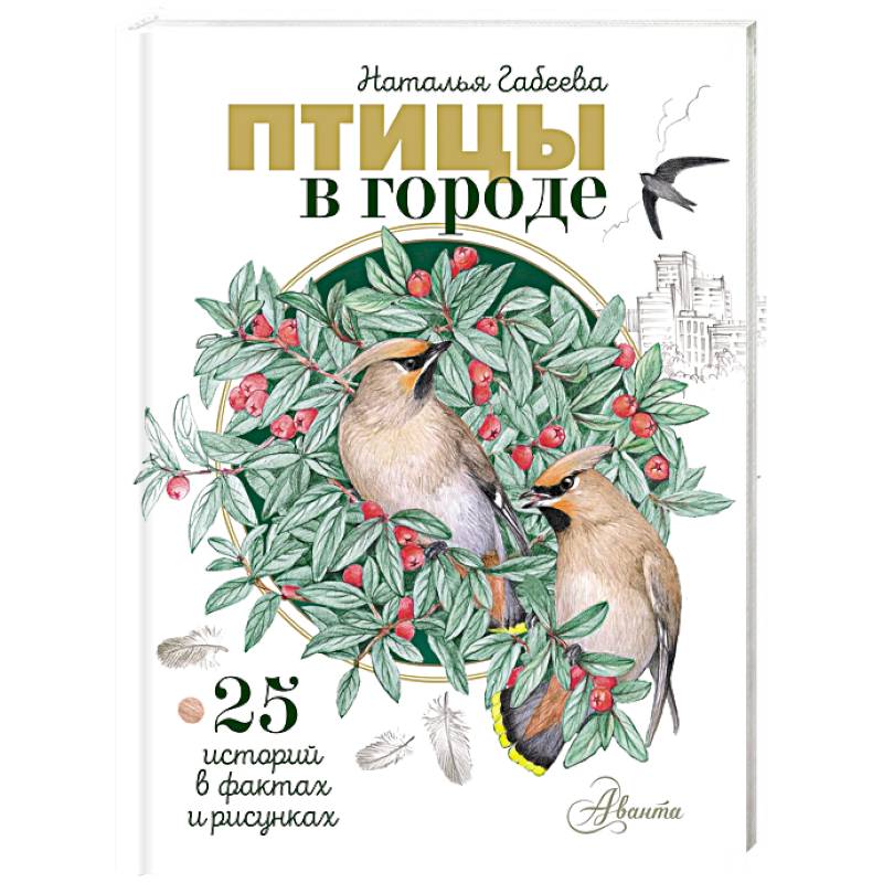 Птицы в городе. 25 историй в фактах и рисунках
