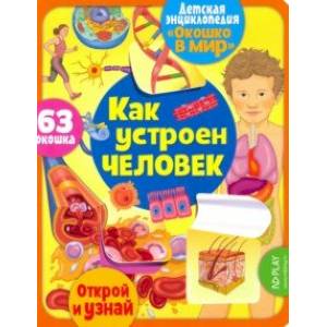 Окошко в мир. Как устроен человек