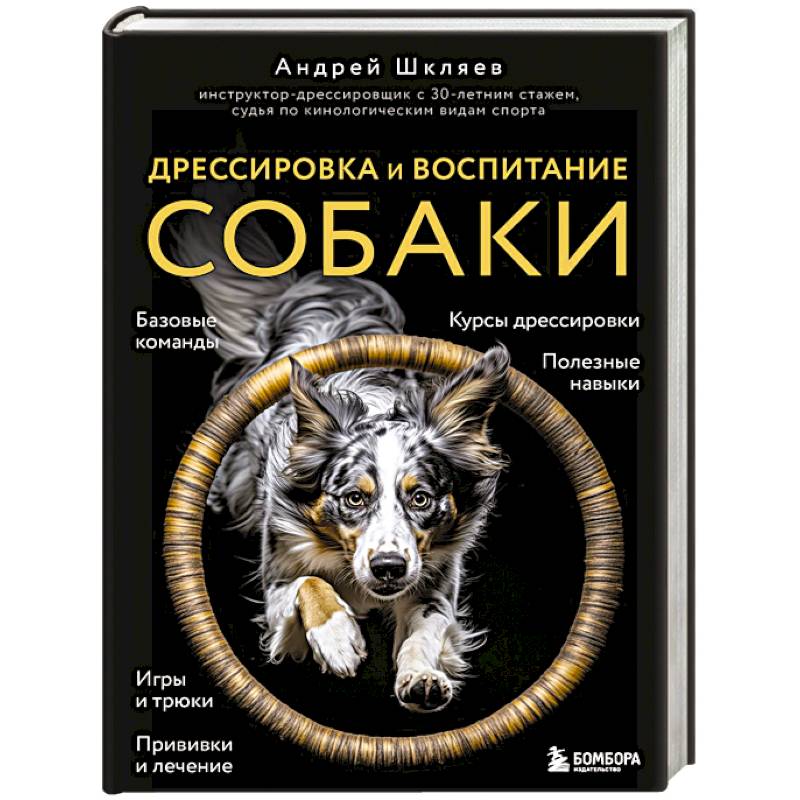 Дрессировка и воспитание собаки