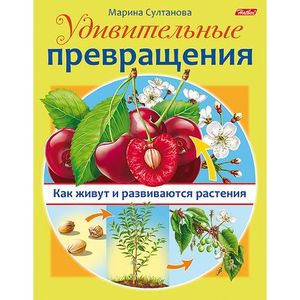 Удивительные превращения. Как живут и развиваются растения