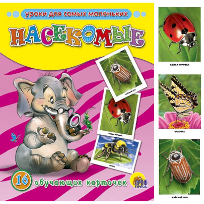 Обучающие карточки. Насекомые