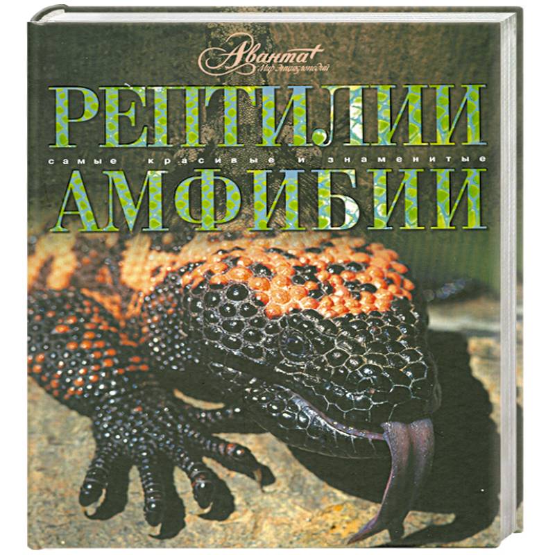 Рептилии. Амфибии