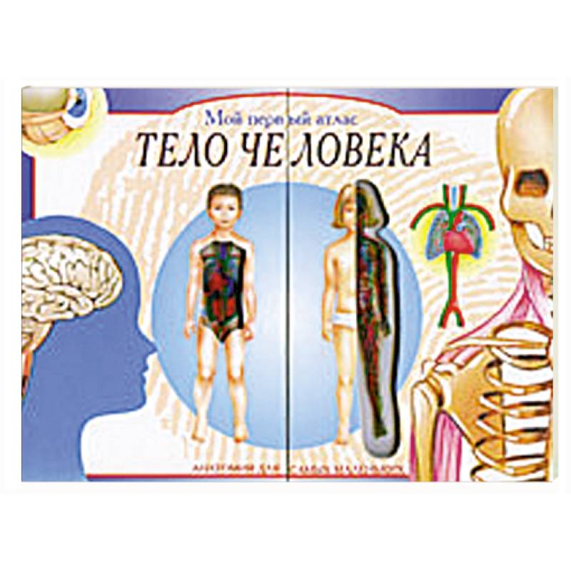 Мой первый атлас: Тело человека. Анатомия для самых маленьких