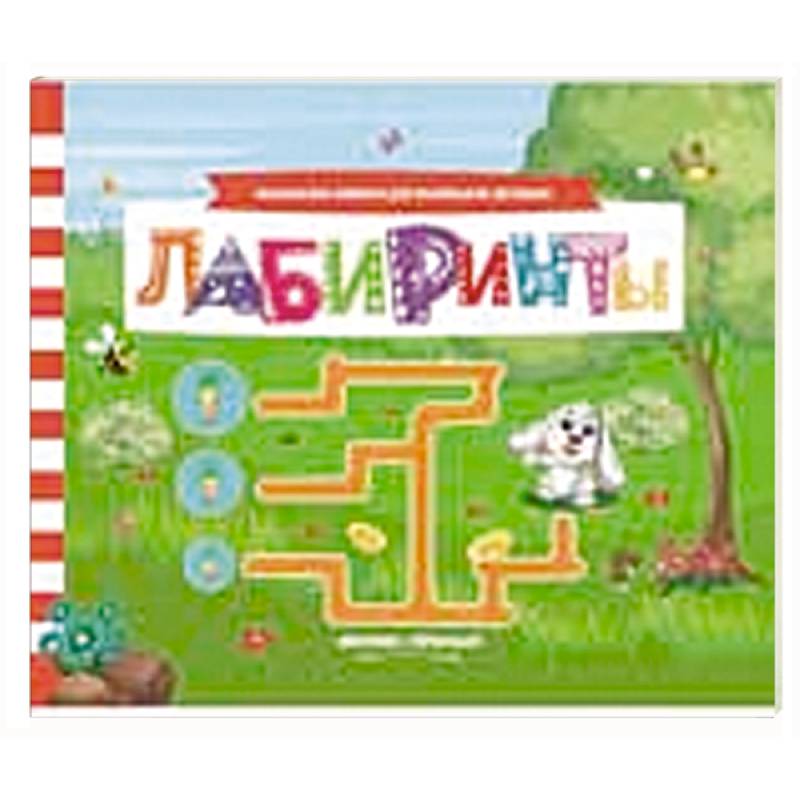 Лабиринты: книжка с заданиями Лабиринты: книжка с заданиями