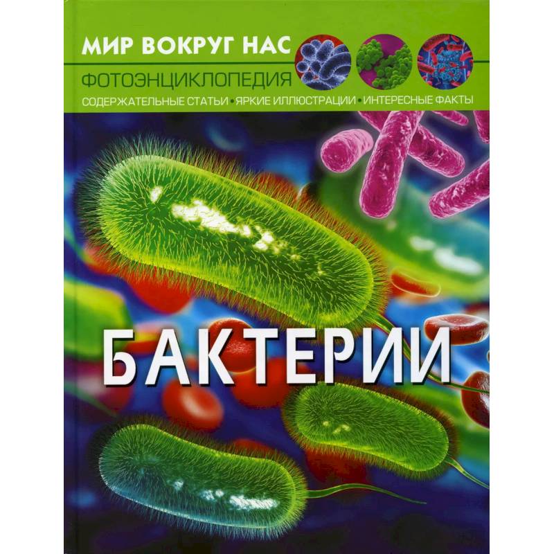 Мир вокруг нас. Бактерии Мир вокруг нас. Бактерии