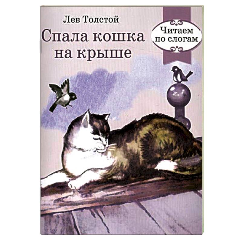 Спала кошка на крыше