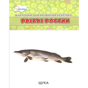 Рыбы России (набор из 12 карточек)