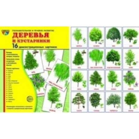 Книги, книга Деревья и кустарники. 16 демонстрационных картинок купить по скидке