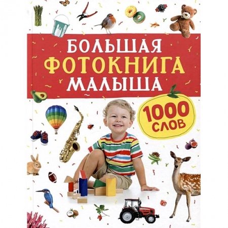 Знакомство с миром, развитие малыша, книга Большая фотокнига малыша. 1000 слов купить по скидке