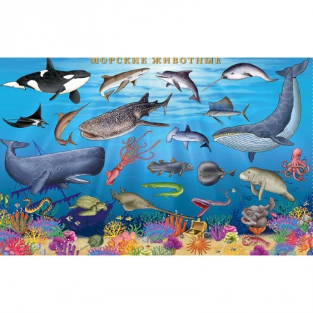 Демонстрационные материалы, книга Морские животные. Цифры и факты. Настольное издание купить по скидке