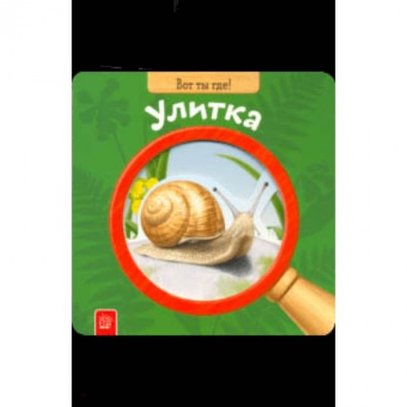 Знакомство с миром, развитие малыша, книга Вот ты где! Улитка купить по скидке