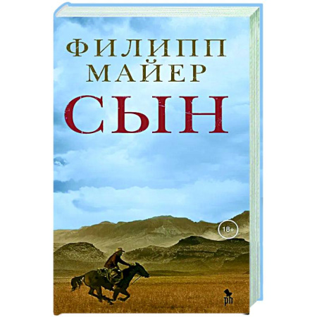 Зарубежная современная проза, книга Сын купить по скидке