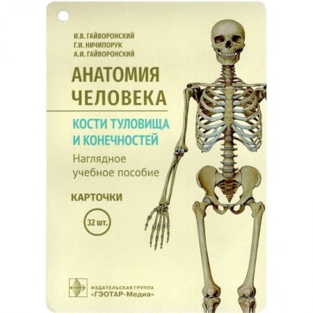 Специальная медицина, книга Анатомия человека. Кости туловища и конечностей. (карточки + кольцо для стяжки карточек) купить по скидке