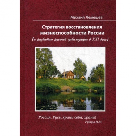 История, биография, мемуары, книга Стратегия восстановления жизнеспособности России (к развитию русской цивилизации в ХХI веке) купить по скидке