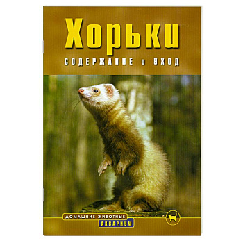 Хорьки содержание и уход