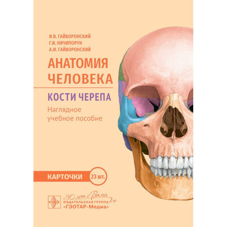 Анатомия и физиология человека, книга Анатомия человека. Кости черепа. Карточки + кольцо для стяжки карточек: наглядное учебное пособие купить по скидке