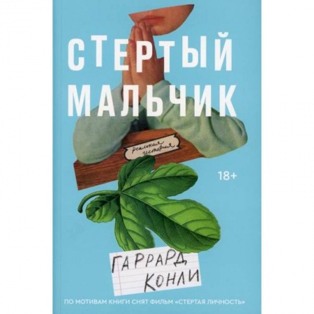 Зарубежная современная проза, книга Стертый мальчик купить по скидке