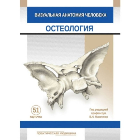 Медицинские энциклопедии и справочники, книга Визуальная анатомия человека. КАРТОЧКИ. Остеология. 51 шт. купить по скидке