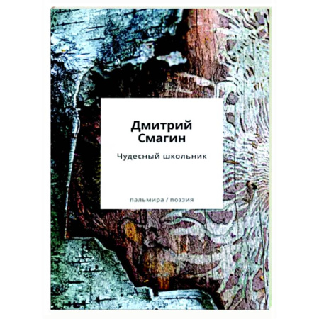 Русская поэзия, книга Чудесный школьник: сборник стихотворений купить по скидке