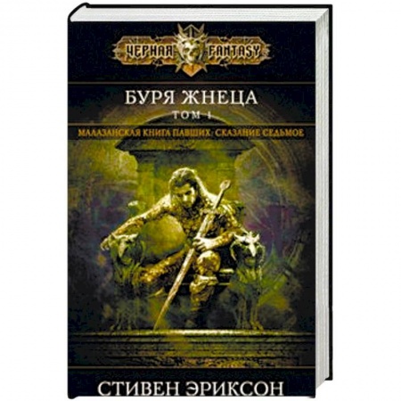 Зарубежное фэнтези, книга Буря Жнеца. Том 1 купить по скидке