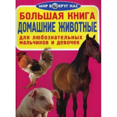 Животный и растительный мир, книга Большая книга. Домашние животные. Для любознательных мальчиков и девочек купить по скидке