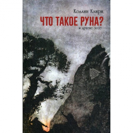 Религиоведение. История религий, книга Что такое руна? купить по скидке