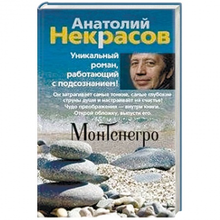 Русская современная проза, книга Монтенегро купить по скидке