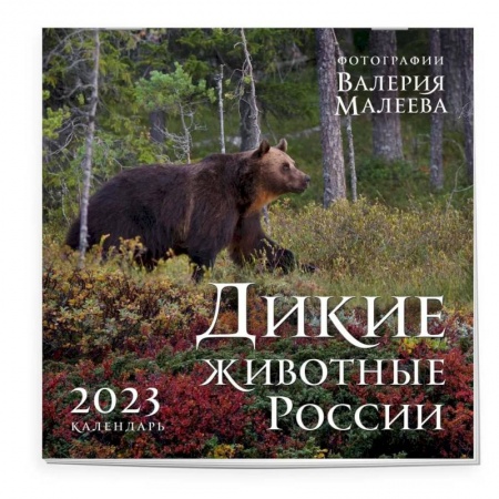 Дикие животные России. Авторские фотографии Валерия Малеева. Календарь настенный на 2023 год