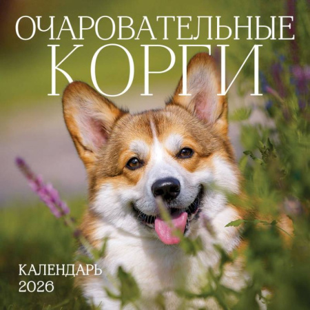 Очаровательные корги. Календарь настенный на 2026 год