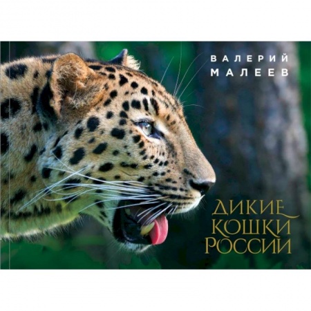 Зоология, книга Дикие кошки России: иллюстрированный авторский фотоальбом купить по скидке