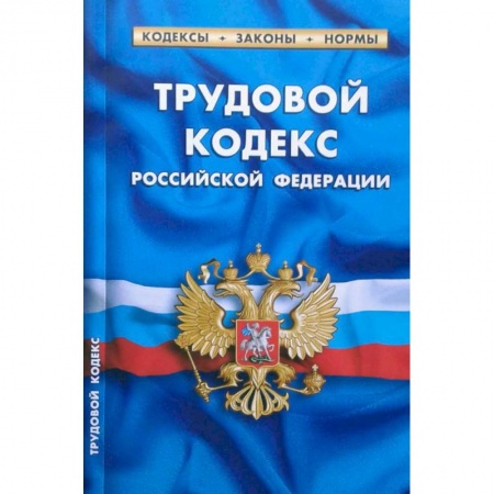 Юриспруденция. Общие вопросы права, книга Трудовой кодекс РФ купить по скидке
