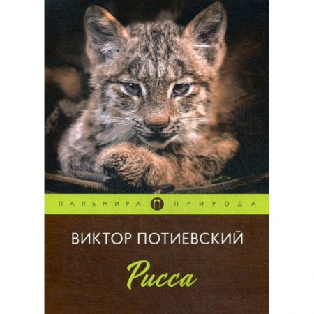 Русская современная проза, книга Рисса купить по скидке