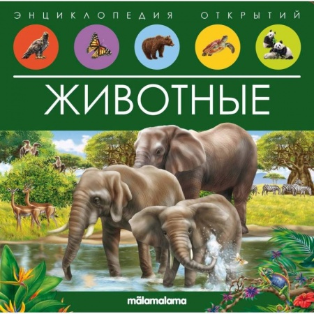 Книжки-раскладушки, панорамки, книга Животные. Книжка-панорамка купить по скидке