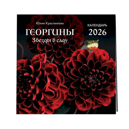 Георгины. Звезды в саду. Календарь настенный на 2026 год (300х300 мм)