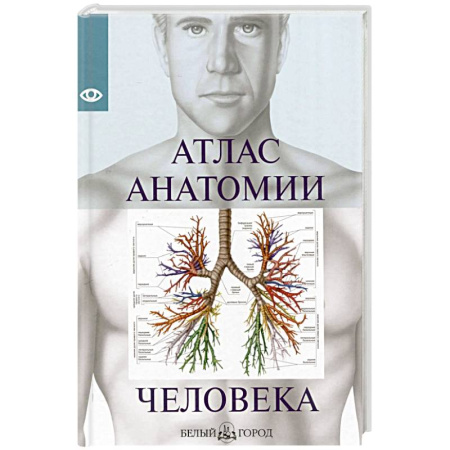 Анатомия и физиология человека, книга Атлас анатомии человека купить по скидке
