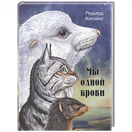 Сказки зарубежных писателей, книга Мы одной крови купить по скидке
