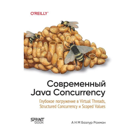 Компьютерная литература, книга Современный Java Concurrency. Глубокое погружение в Virtual Threads, Structured Concurrency и Scoped Values купить по скидке