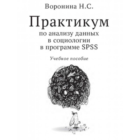 Анализ данных и исследования в социологии, книга Практикум по анализу данных в социологии в программе SPSS: Учебное пособие купить по скидке
