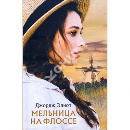 Зарубежная современная проза, книга Мельница на Флоссе купить по скидке