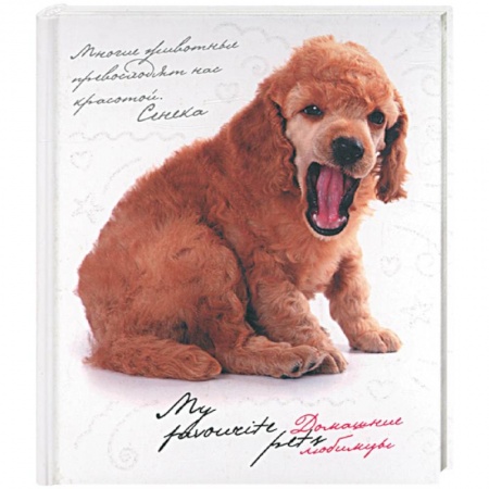 Книги, книга Домашние любимцы. My favourite pets купить по скидке