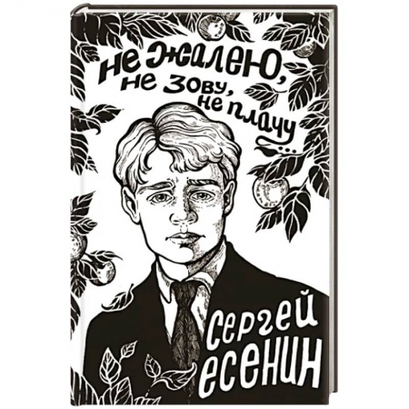 Русская поэзия, книга Не жалею, не зову, не плачу... купить по скидке