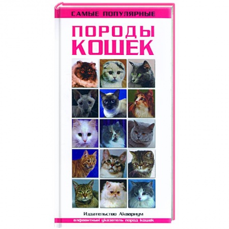Книги, книга Самые популярные виды кошек купить по скидке