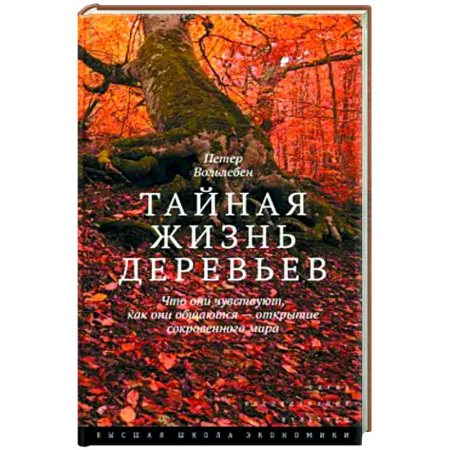 Ботаника, книга Тайная жизнь деревьев. Что они чувствуют, как они общаются — открытие сокровенного мира купить по скидке