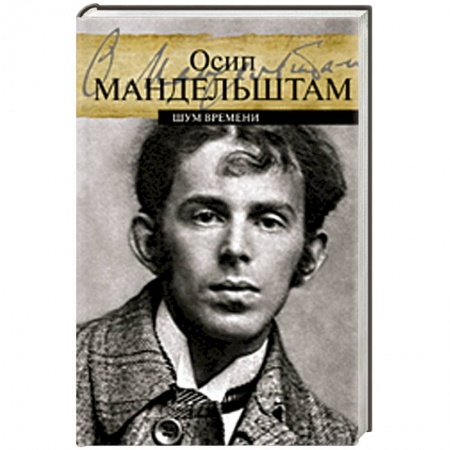 Книги, книга Шум времени купить по скидке