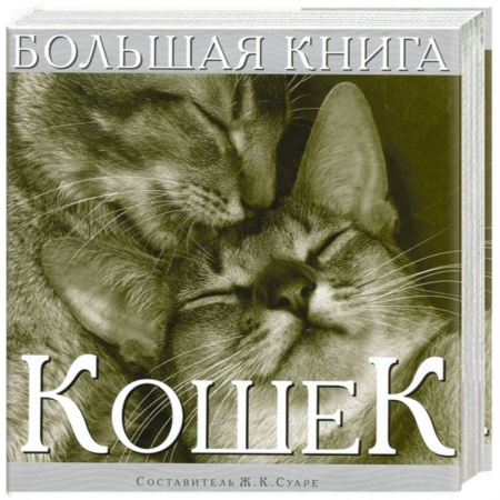 Книги, книга Большая книга кошек купить по скидке