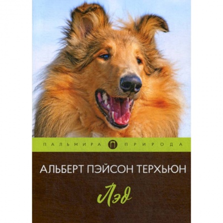 Зарубежная современная проза, книга Лэд купить по скидке