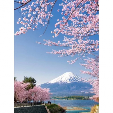 Путеводители по странам, книга 1000 лучших мест планеты, которые нужно увидеть за свою жизнь купить по скидке